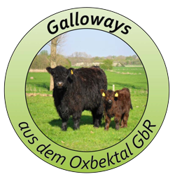 Galloways aus dem Oxbektal GbR